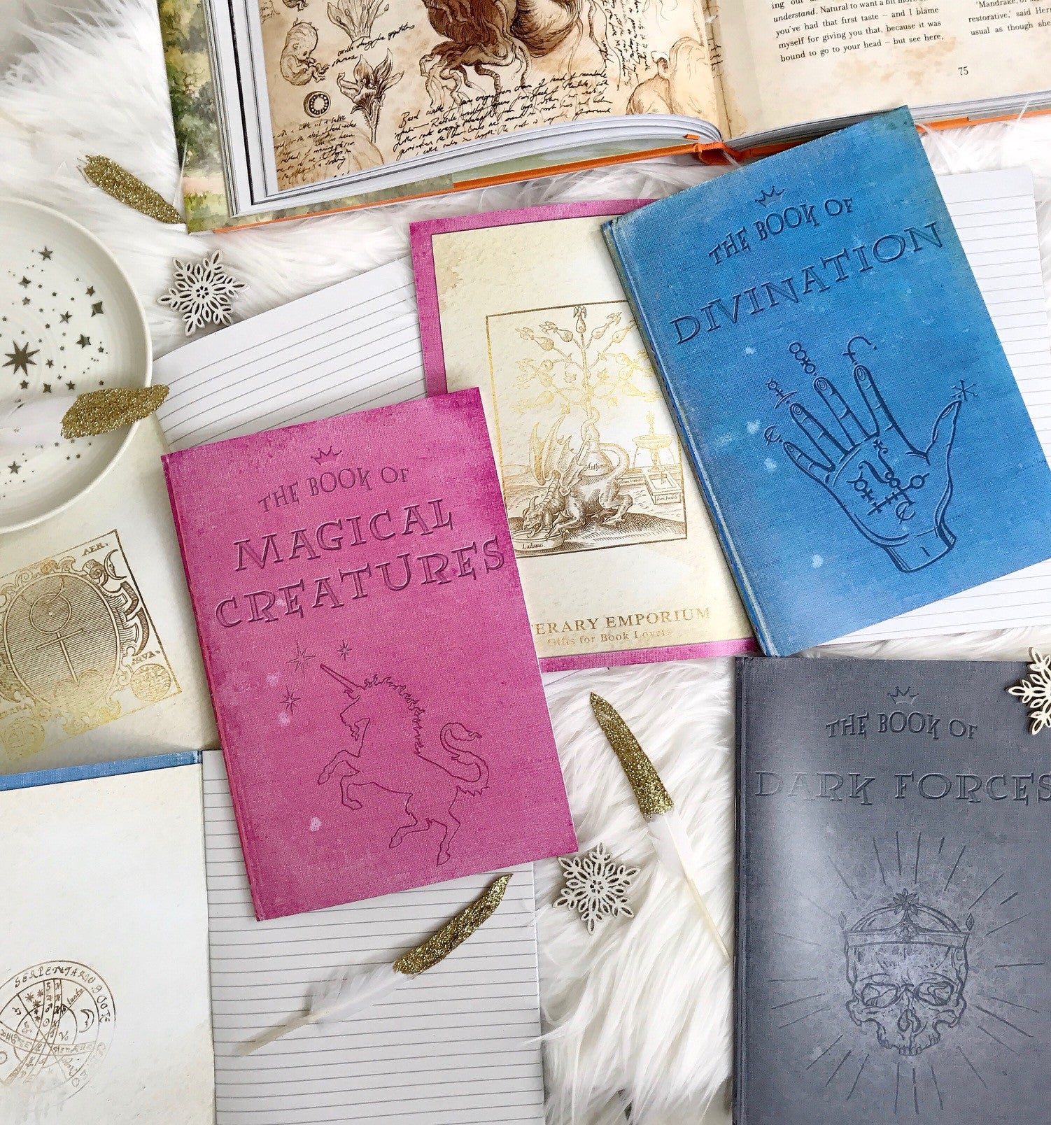 Second Edition Magic Notebook Set - Literary Emporium 